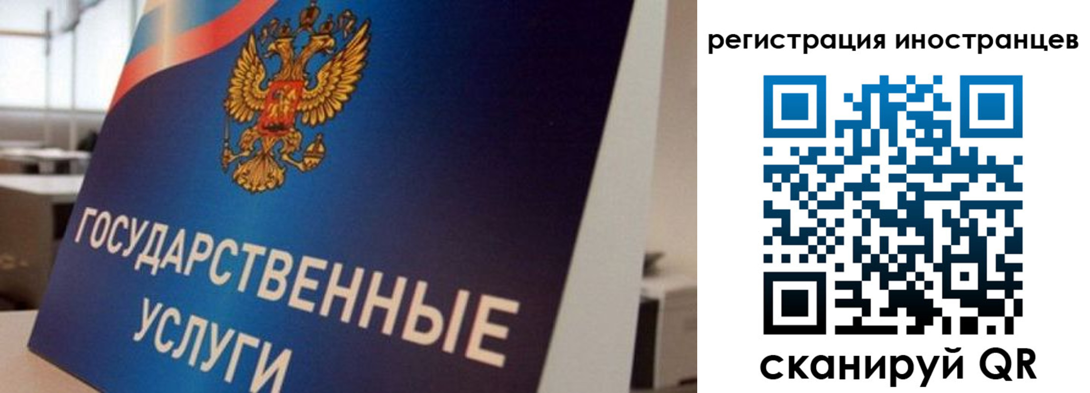 временная прописка в Мурино