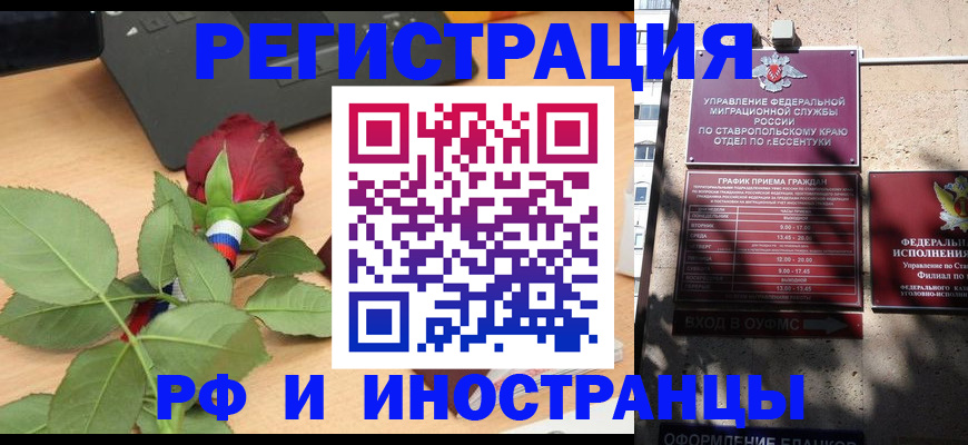 найти адрес прописки в Мурино